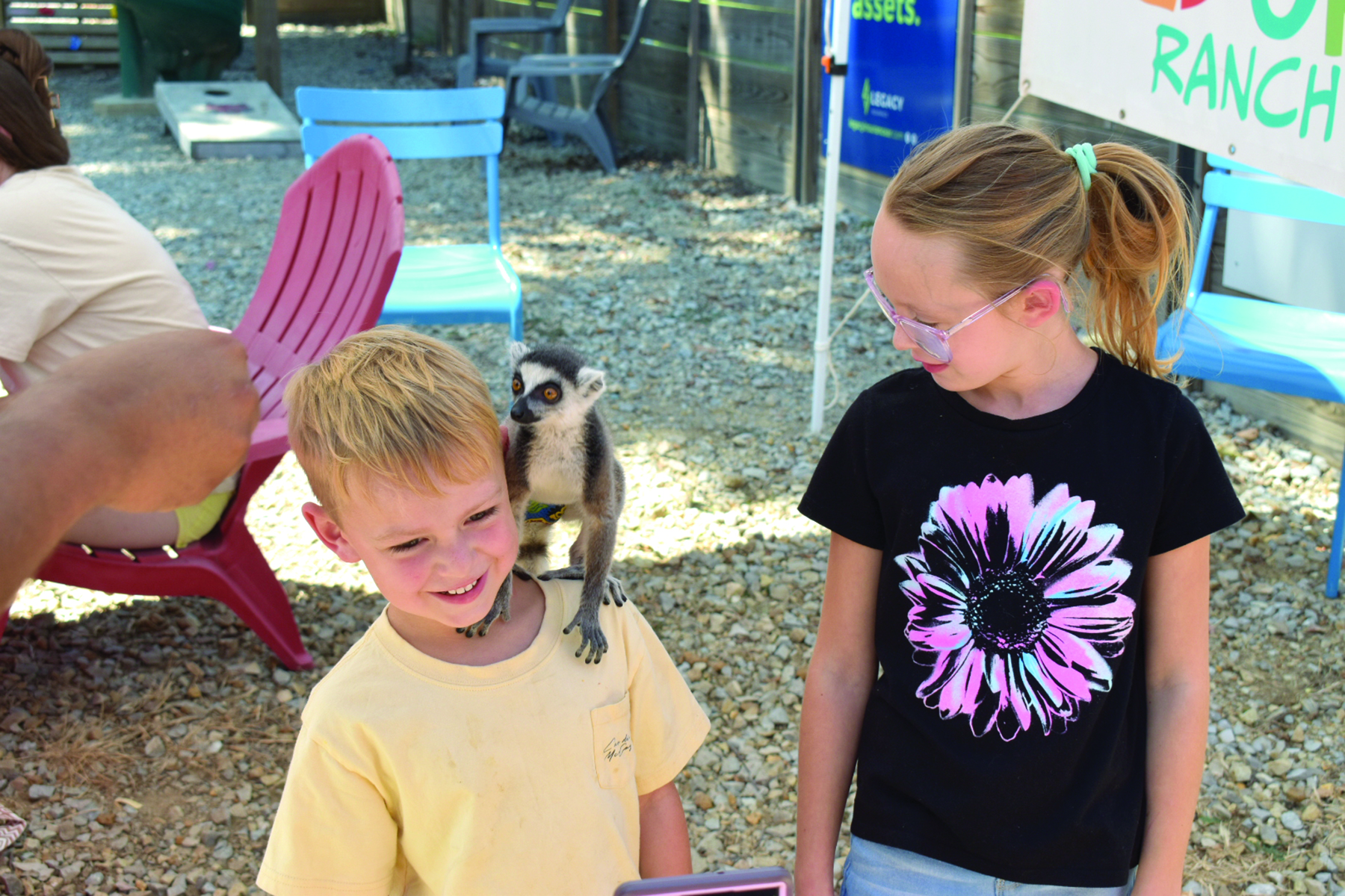 Lollies & Lemurs at Huntington Square